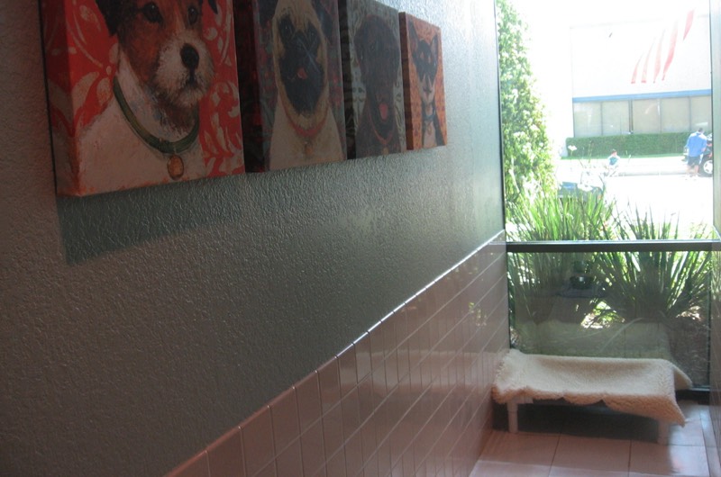 Our Garden Room is filled with sunshine